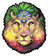 Ethiopian Lion