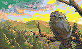Owl Landscape